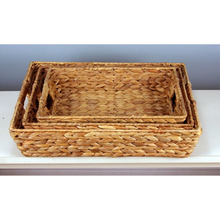 Rosecliff Heights Winne 3 Piece Coffee Table Tray Set & Reviews Wayfair